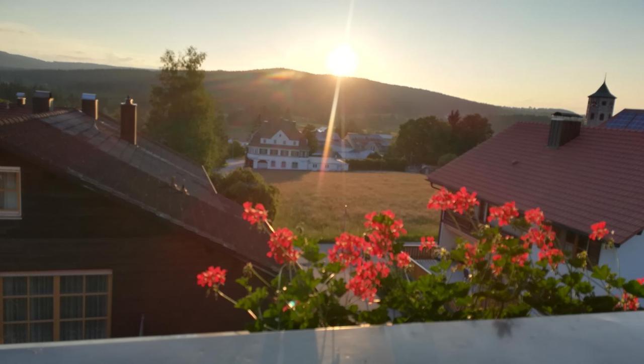 Haus Haidweg - Ferienwohnungen In Haidmuehle Im Dreilaendereck De-Cz-At Exterior foto
